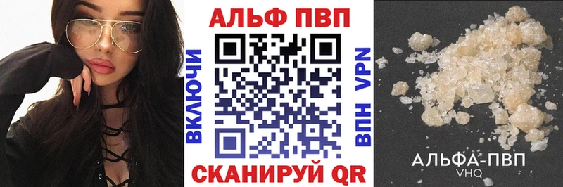 Альфа ПВП СК КРИС  Кологрив 