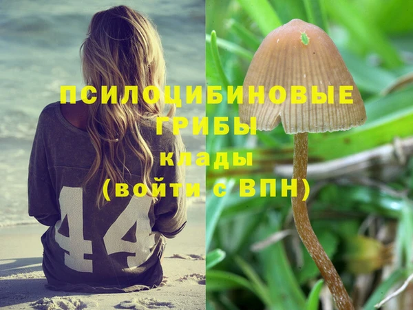 дмт Алзамай
