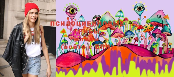 дмт Алзамай