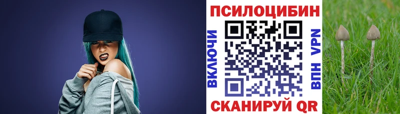 сколько стоит  Кологрив  Псилоцибиновые грибы MAGIC MUSHROOMS 